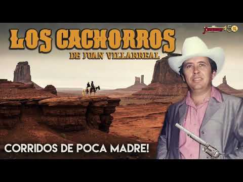 download lagu mp3 mp4 Los Cachorros De Juan Villarreal Puros Corridos, download lagu Los Cachorros De Juan Villarreal Puros Corridos gratis, unduh video klip Los Cachorros De Juan Villarreal Puros Corridos