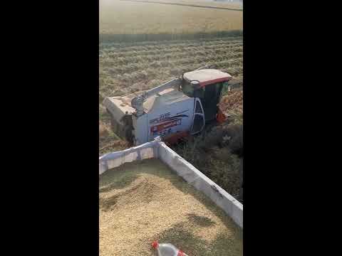 Kubota ER 112 in pakistan Ch.HamzaAnsari  0321-7458140 #Gujranwala