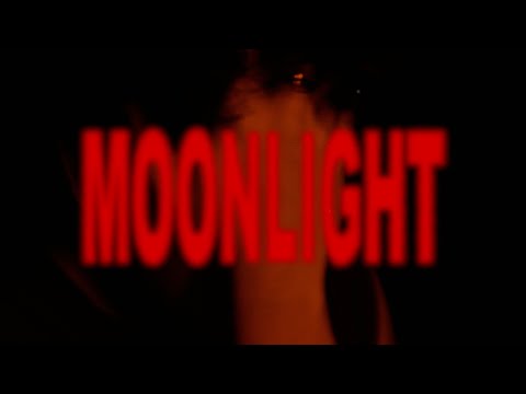 Thelophobos ft. _dyco - moonlight (Official Music Video)