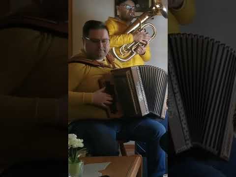 Igramo za prijatelje (Franc Šegovc)