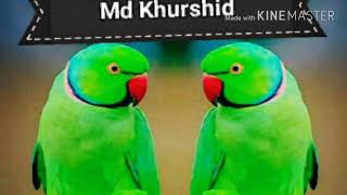 Download lagu Khurshid  d j mp3