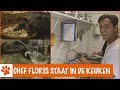 Heerlijk koken voor de cavia's en schildpadden! | DierenpraatTV