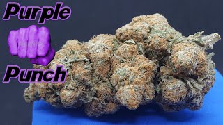 Purple Punch Strain Review