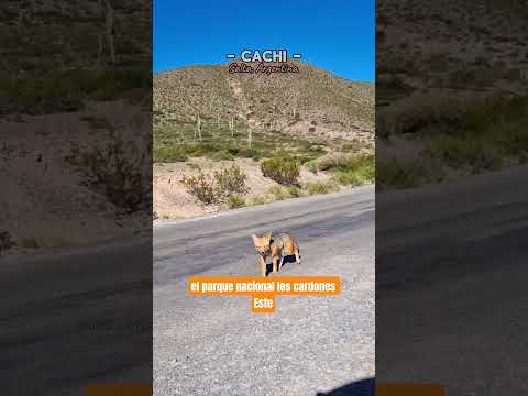 el pueblo escondido en SALTA 🤯