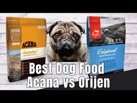 Choosing the Best Dog Food : Acana vs Orijen | Unveiling the Ultimate Nutrition  @SecretsDoggoTales