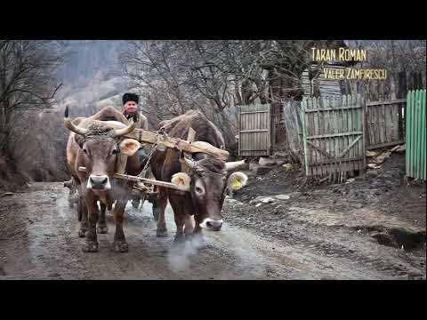 ODĂ ȚĂRANULUI ROMÂN -- Voce :Valer Zamfirescu.