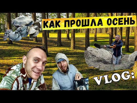 VLOG: Как я провел осенний период