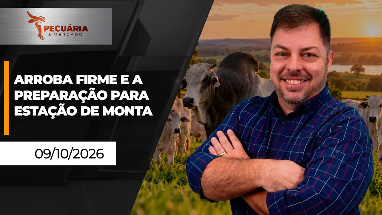 FECHAMENTO DE MERCADO - Arroba firme e a preparação para estação de monta