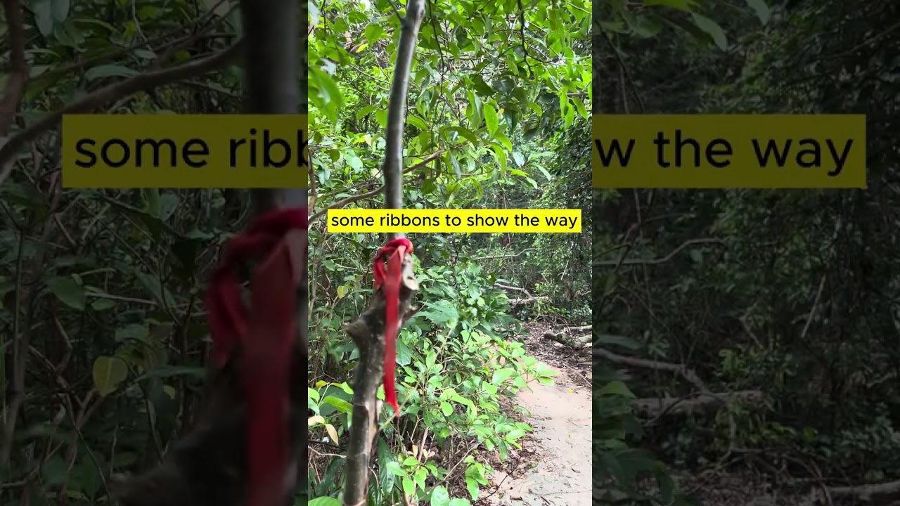 YouTube Short thumbnail