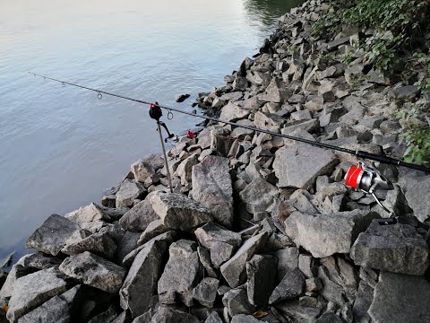 SEDO - CFB Team Danube River Carp Fishing WWW.SEDOFISHING.COM