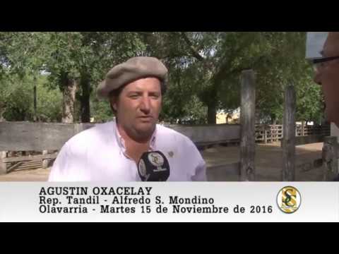 15-11-16 Nota Agustin Oxacelay - Alfredo S. Mondino - Olavarria.