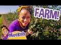 Meekah Visits A Farm Southern Hill Meekah Full Episodes Educational Videos For Kids