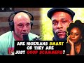 Joe Rogan: Are Nigerians the Smartest and Most Successful African Immigrants in United States?