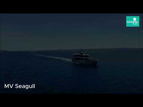 Cruise video 1