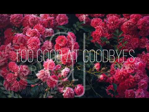Aycee Jordan - Too Good at Goodbyes - Gado'z Remix