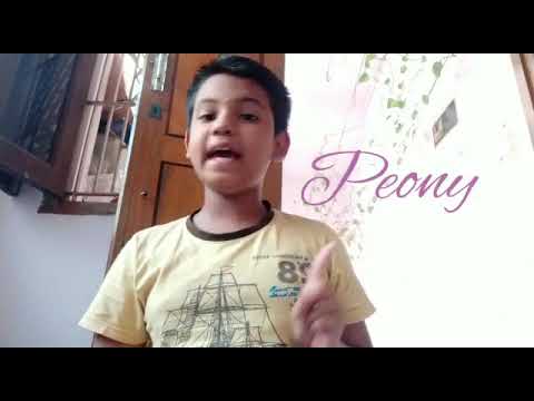 How to draw a Peony Flower?