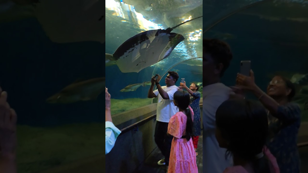 YouTube Short thumbnail