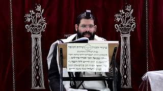 זבחים דף ט"ו ע''א ¤ הרב נתנאל אברז'ל ¤ בית הכנסת "בית מרדכי" (מוסדות תורת דוד) - התמונה מוצגת ישירות מתוך אתר האינטרנט יוטיוב. זכויות היוצרים בתמונה שייכות ליוצרה. קישור קרדיט למקור התוכן נמצא בתוך דף הסרטון