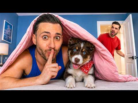 Ik Heb Stiekem Een Nieuwe Puppy In Huis (GEHEIM VOOR THOMAS)