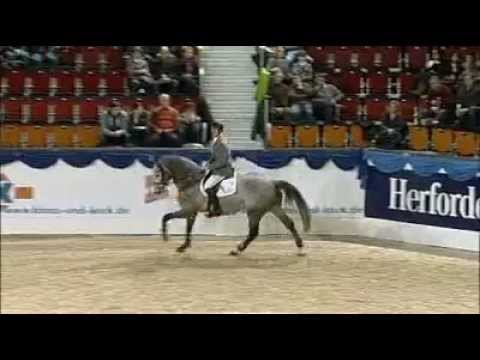 Gestüt Ligges Camax L 2011