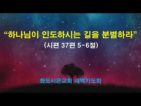 (다윗의 잠언 10) 하나님이 인도하시는 길을 분별하라