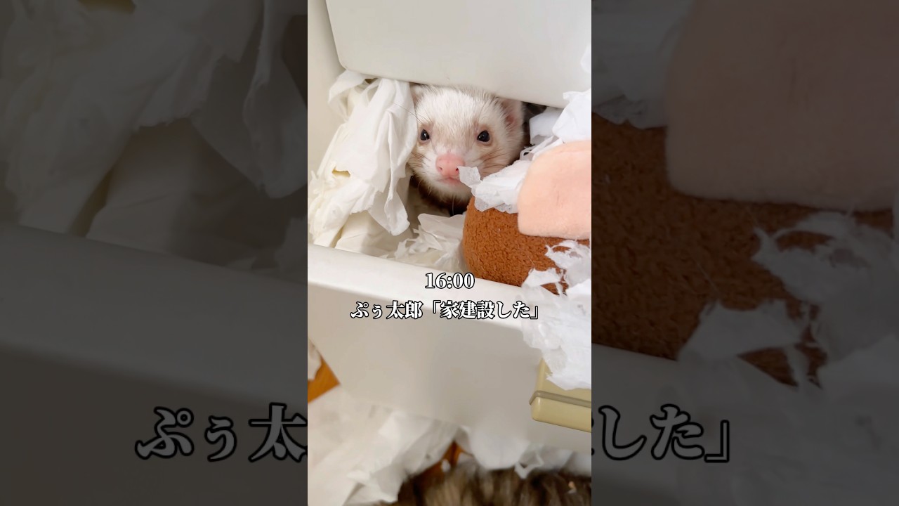 年末年始の自由すぎる一日