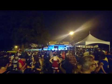 Festival Acadiens and Creole - Wayne Toups