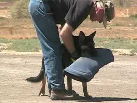 Akudulz Protection Training