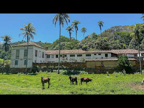 You won't believe what we found on this century-old farm | SANTA FÉ FARM