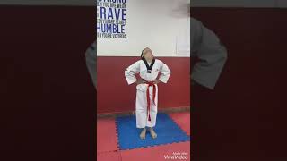 Taekwondo For kids at Kings MMA Chandigarh | Train with kabir | 9780055644