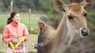 Puas Dech “Main-main” Sama Rusa-rusa Unyu di Ranca Upas!!! | TRAVEL’S CHECKLIST