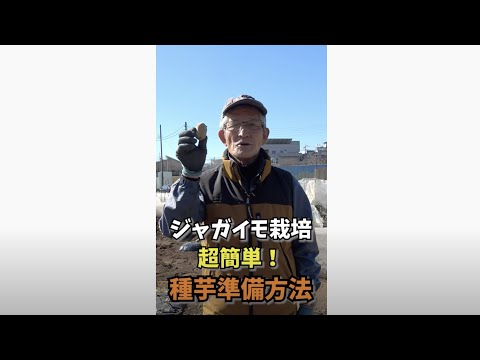 冬でもジャガイモは栽培できますか？どのような条件下で?  庭園