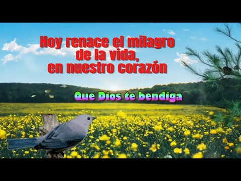 Feliz Viernes Buenos Días Te Deseo Un lindo Día Lleno De alegría Y Bendiciones