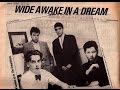 OUTER LIMITS - Dreamboys 