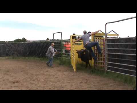 553 Hobo x 315 Panhandle Slim