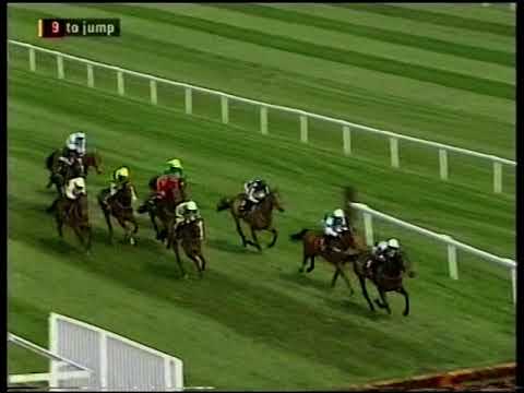 2007 Citroen C6 Sefton Novices' Hurdle