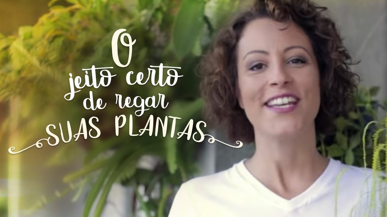 Borrifador? Esguicho? O jeito certo de REGAR suas PLANTAS