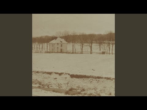 Half Lizard / Half Lizard