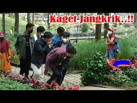 diketawain-sampai-puas-funny-bushman-prank