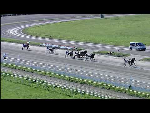 Napoli Trotto 12/05/2023 - 7ª corsa