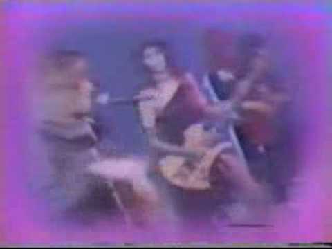 The Orchids - Blame it All On The Night - video - 1980