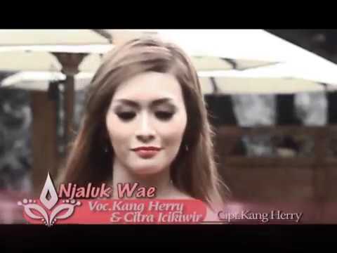 Njalukan Wae - Kang Herry Ft. Citra Icikiwir | Dangdut [OFFICIAL]