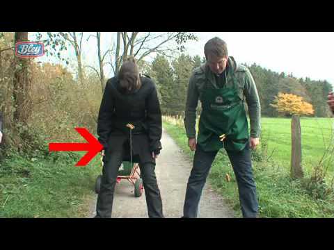 NWZ Kohlfahrtspiel Nr. 2: Bockwurstschwingen