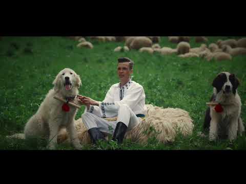 Ionut Nemes - Cainii mei de Bucovina 🐩 (Official Video)