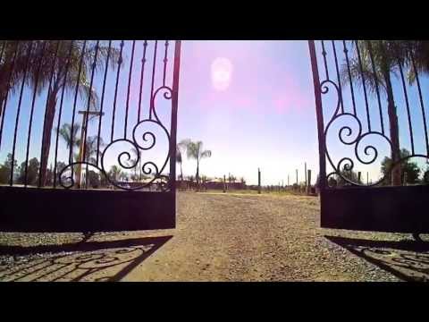 DEEGAN #38 ~ AMERICAN BADASS