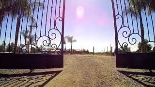 DEEGAN #38 ~ AMERICAN BADASS