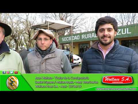 27-06-19 - Juan Wallace - Titular - Wallace Hnos. S.A. - Azul