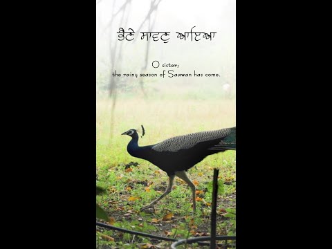 A Musical Match - Bhaine Saawan Aaya