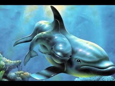 Sounds of Dolphins - (Suoni dei Delfini) for Relaxing, Reiki, Meditation, Spa, Tai Chi