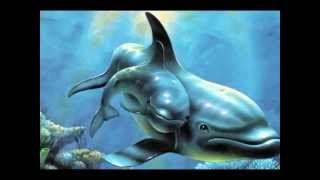 Sounds of Dolphins - (Suoni dei Delfini) for Relaxing, Reiki, Meditation, Spa, Tai Chi